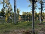0 Jones Creek Road White Bluff TN 37187