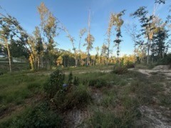 0 Jones Creek Road White Bluff TN 37187