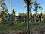 0 Jones Creek Road White Bluff TN 37187