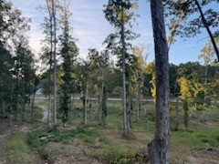 0 Jones Creek Road White Bluff TN 37187