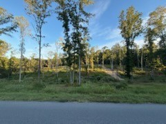 0 Jones Creek Road White Bluff TN 37187