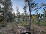 0 Jones Creek Road White Bluff TN 37187