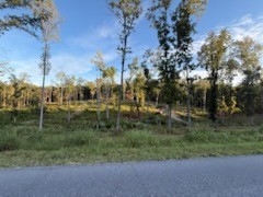 0 Jones Creek Road White Bluff TN 37187