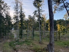 0 Jones Creek Road White Bluff TN 37187