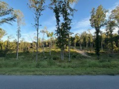 0 Jones Creek Road White Bluff TN 37187