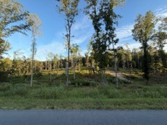 0 Jones Creek Road White Bluff TN 37187