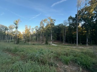 0 Jones Creek Road White Bluff TN 37187