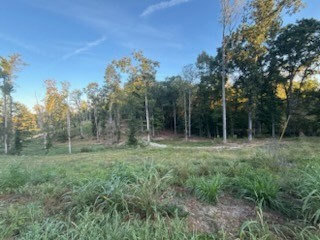 0 Jones Creek Road White Bluff TN 37187