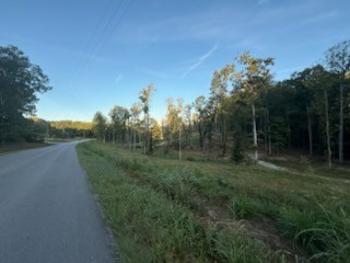 0 Jones Creek Road White Bluff TN 37187