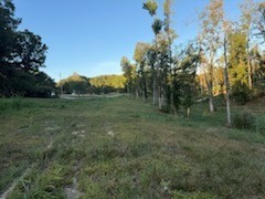 0 Jones Creek Road White Bluff TN 37187