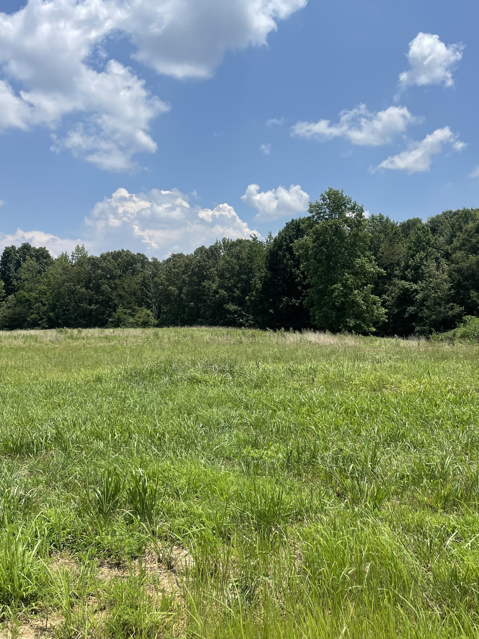 0 Summerlake Court Winchester TN 37398