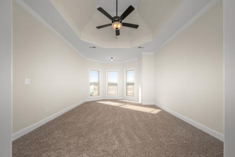 116 Dandelion Lane Beechgrove TN 37018