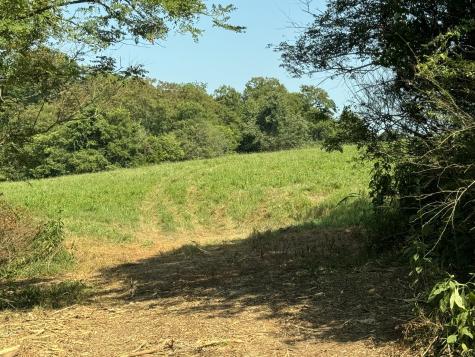 0 Old Highway 25 Tract #1 Hartsville TN 37074