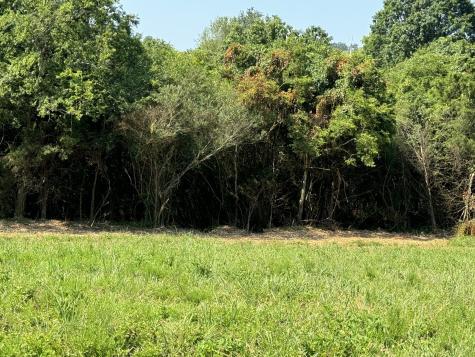 0 Old Highway 25 Tract #1 Hartsville TN 37074
