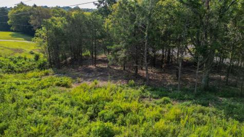 0 Old Highway 25 Tract #1 Hartsville TN 37074