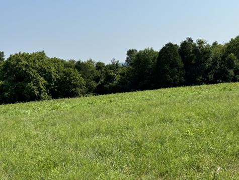 0 Old Highway 25 Tract #1 Hartsville TN 37074