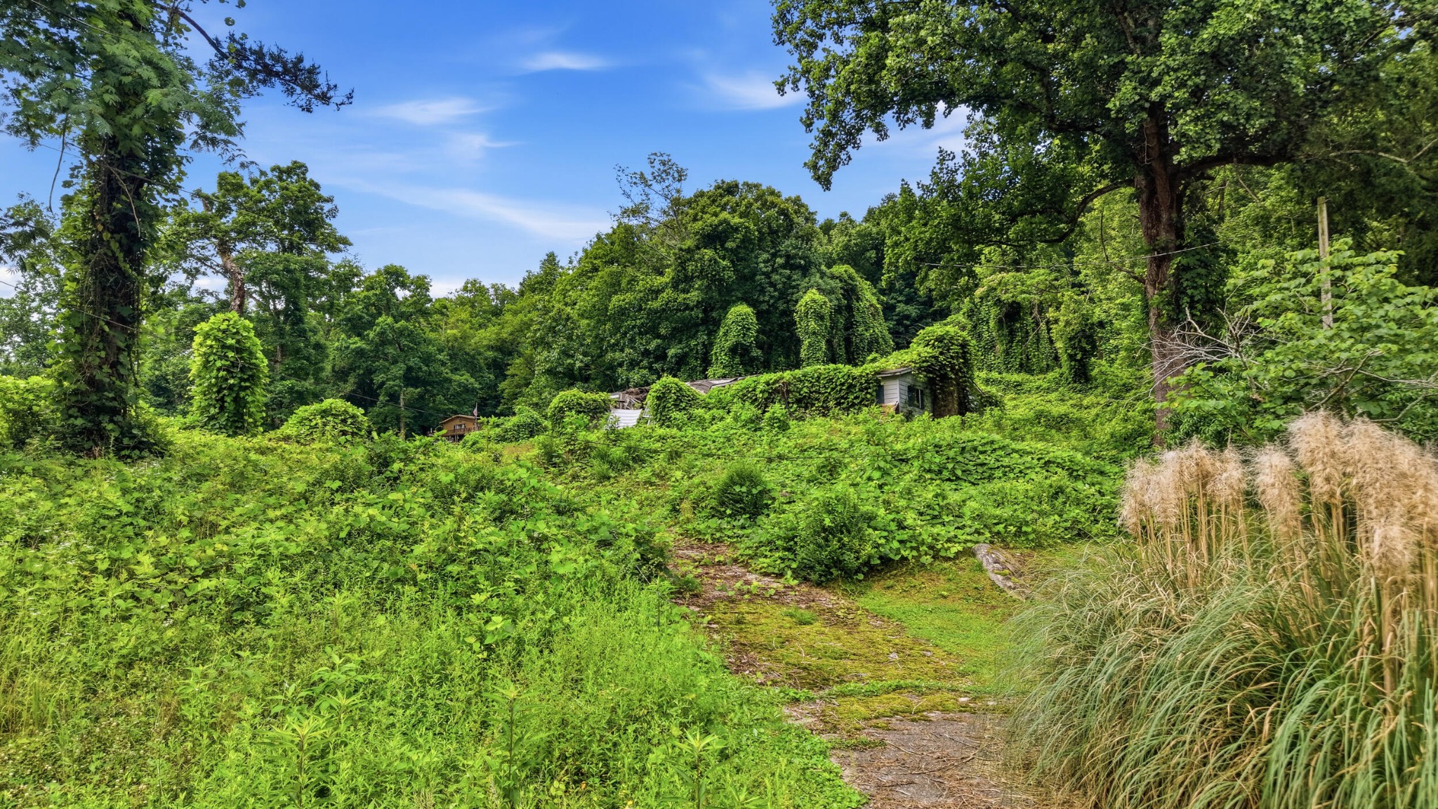 20045 River Canyon Road Chattanooga TN 37405