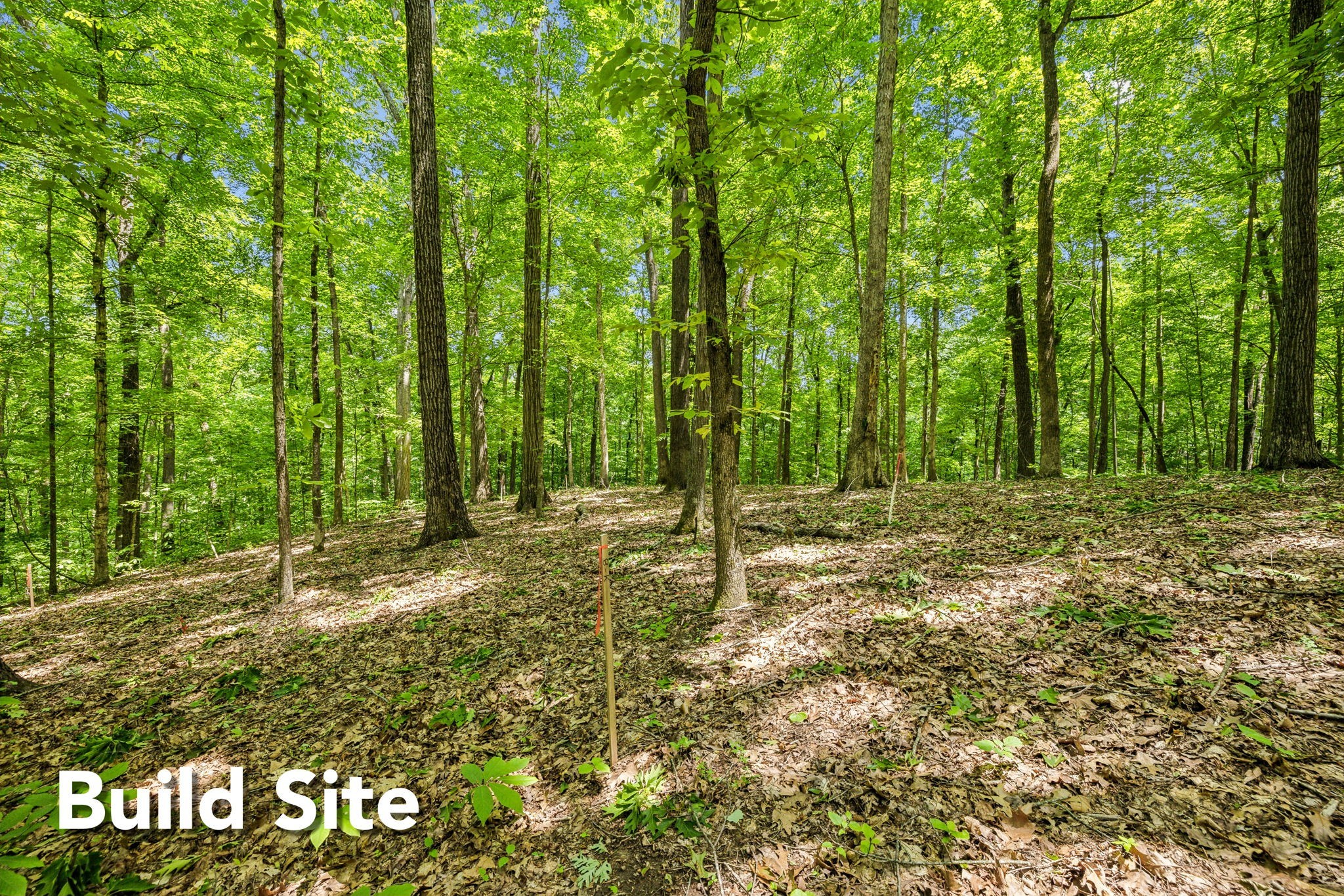 1 Crocker Springs Road Goodlettsville TN 37072
