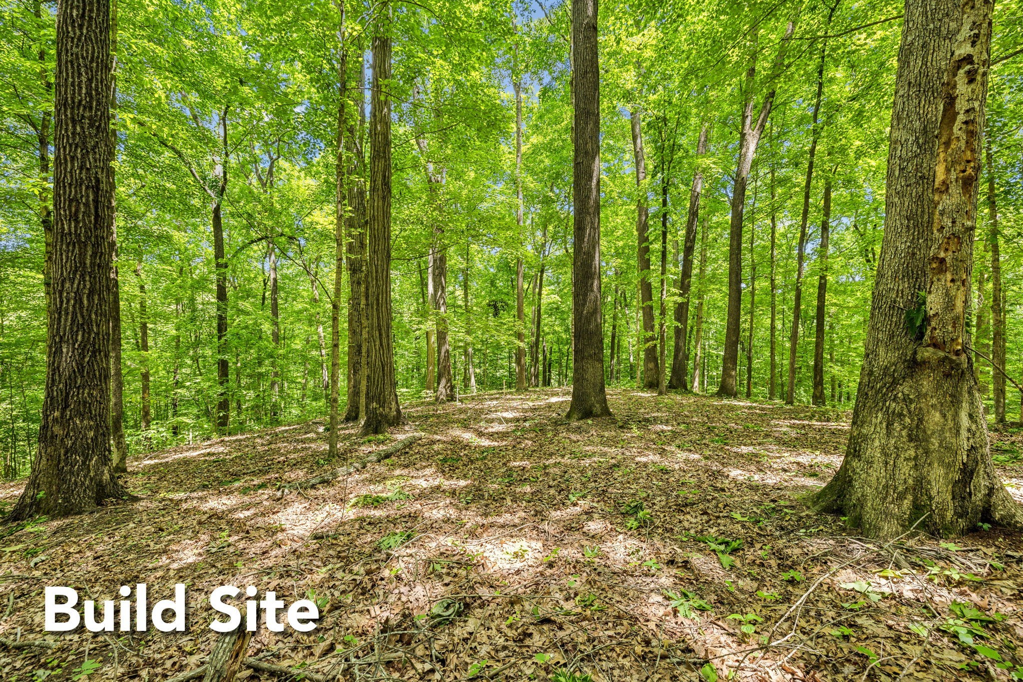 1 Crocker Springs Road Goodlettsville TN 37072