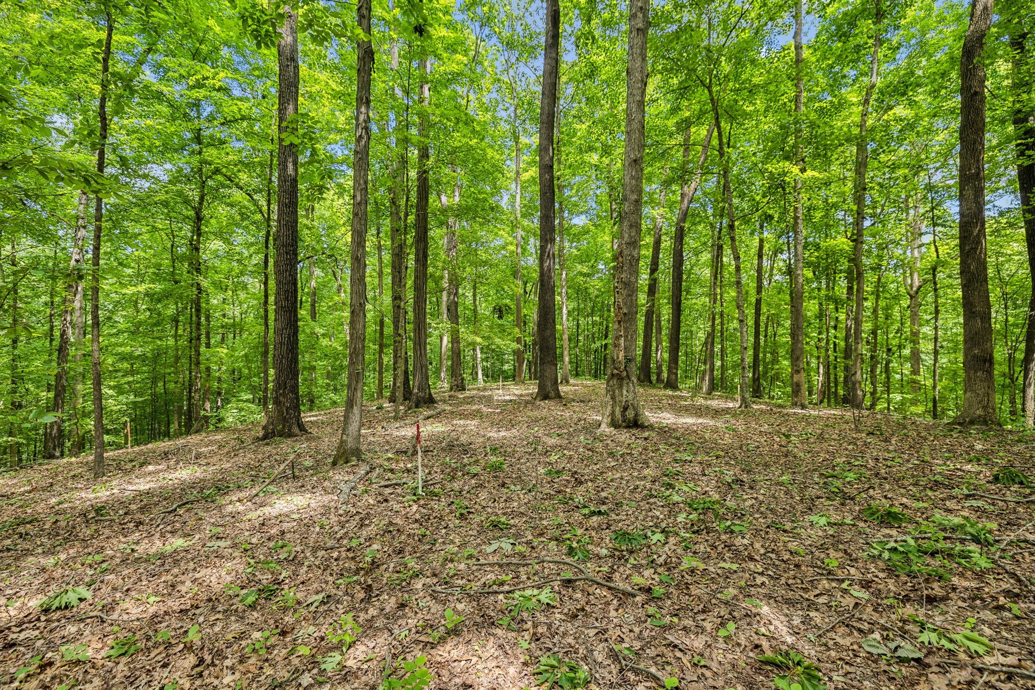 1 Crocker Springs Road Goodlettsville TN 37072