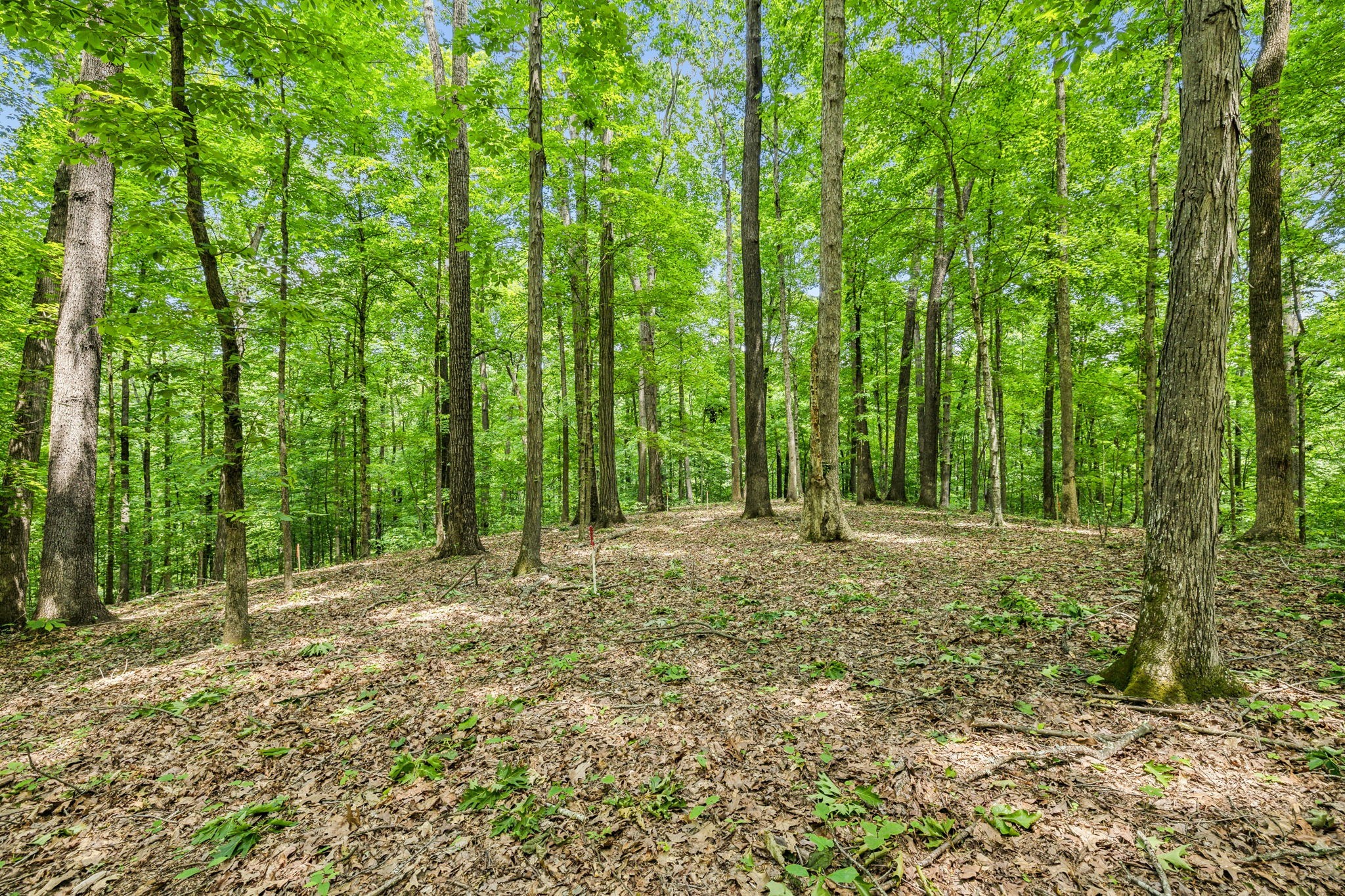 1 Crocker Springs Road Goodlettsville TN 37072