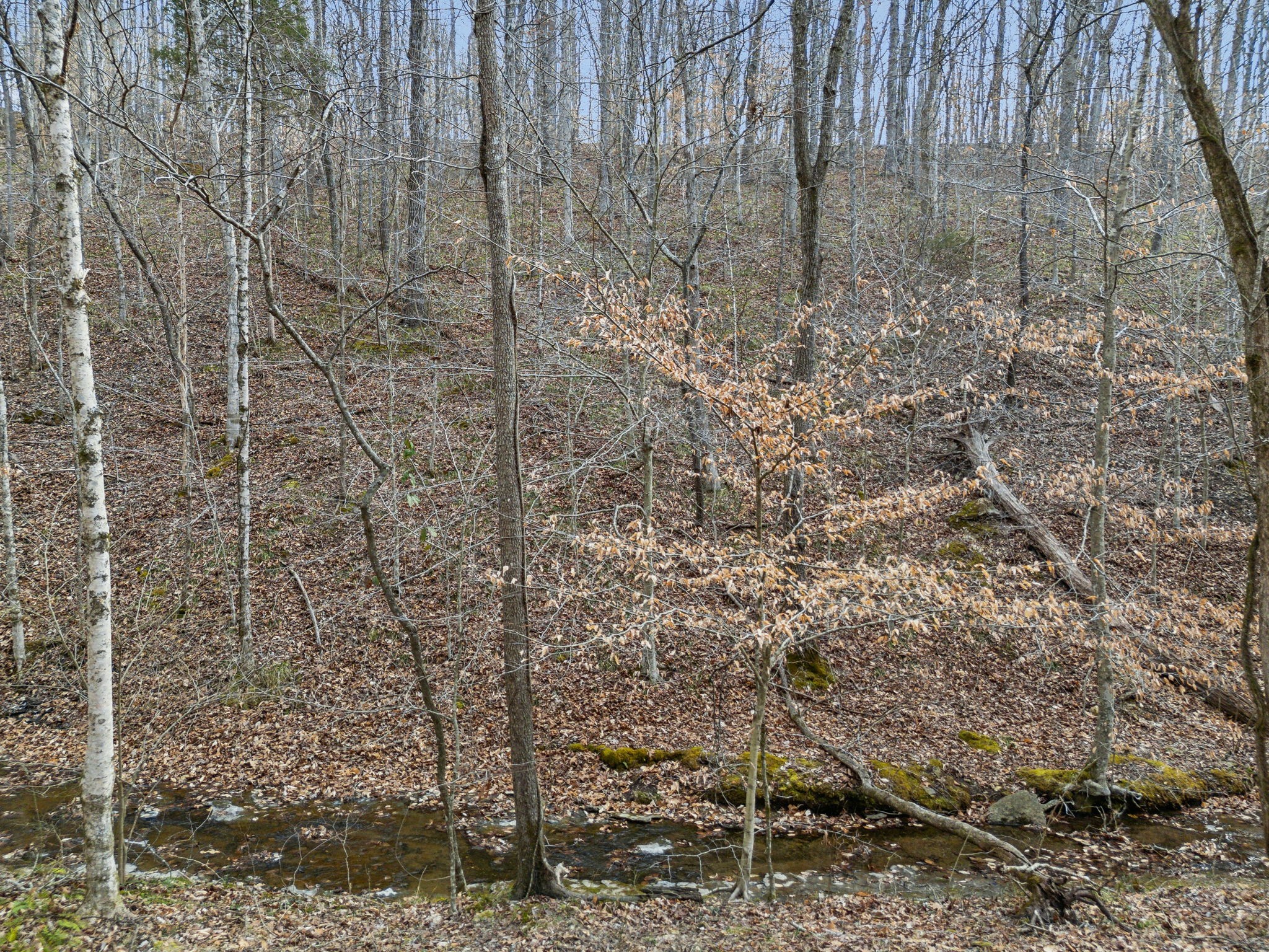 1 Crocker Springs Road Goodlettsville TN 37072