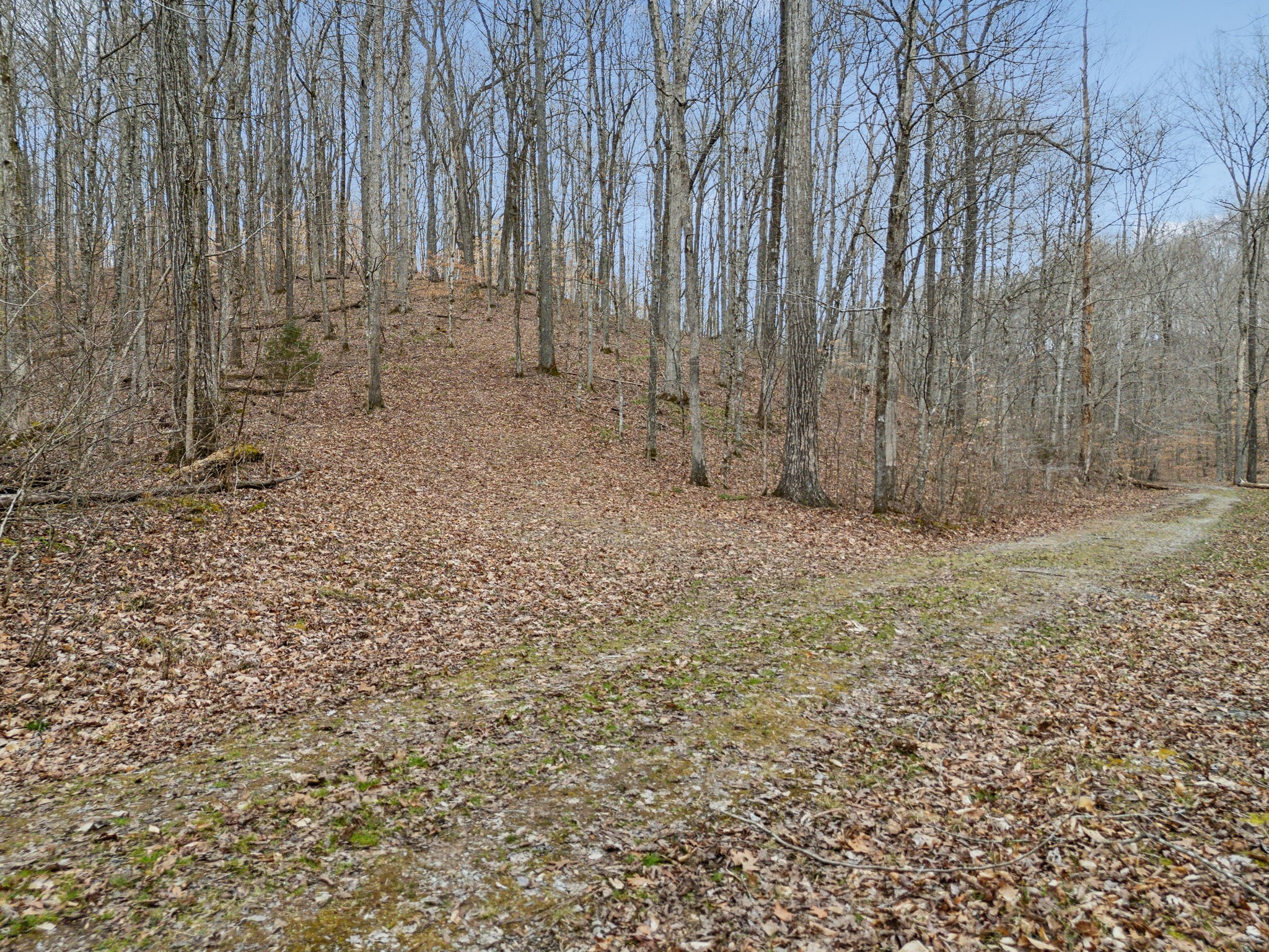 1 Crocker Springs Road Goodlettsville TN 37072