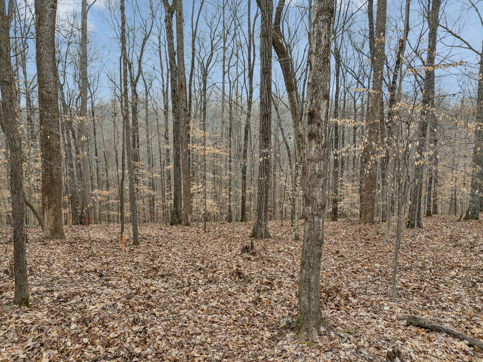 1 Crocker Springs Road Goodlettsville TN 37072
