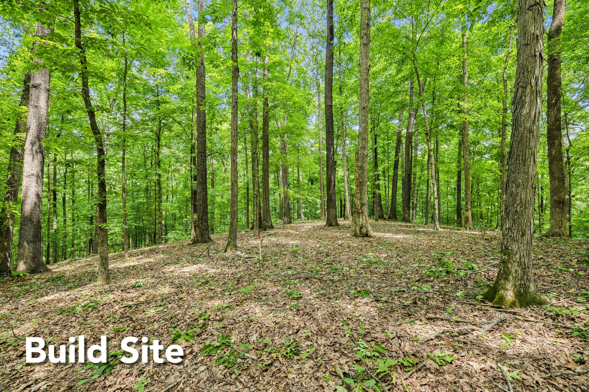 1 Crocker Springs Road Goodlettsville TN 37072