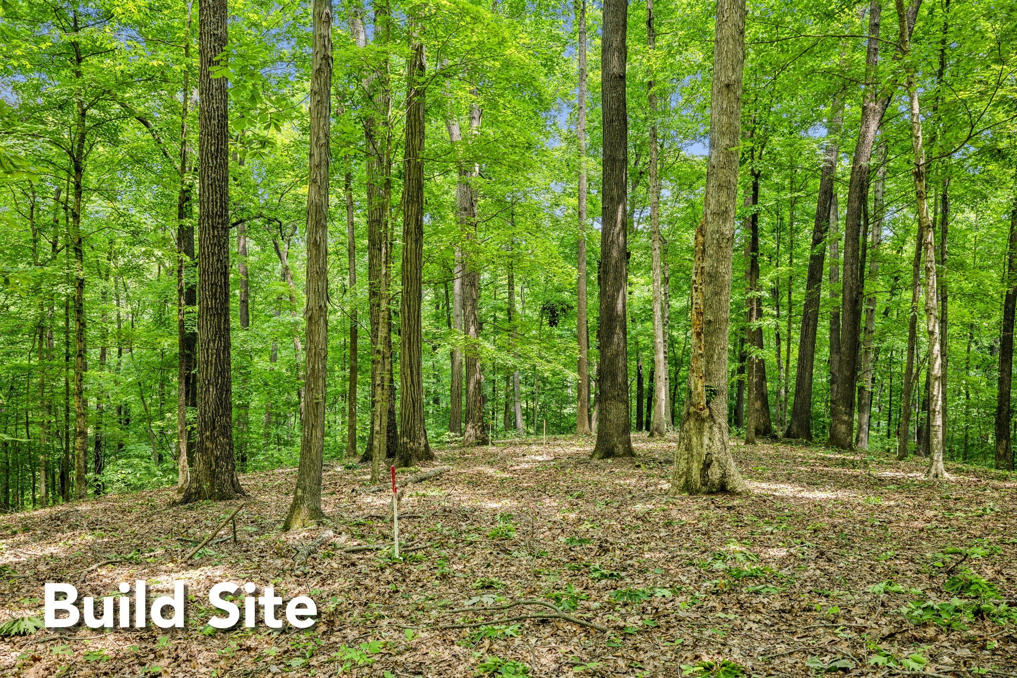 1 Crocker Springs Road Goodlettsville TN 37072