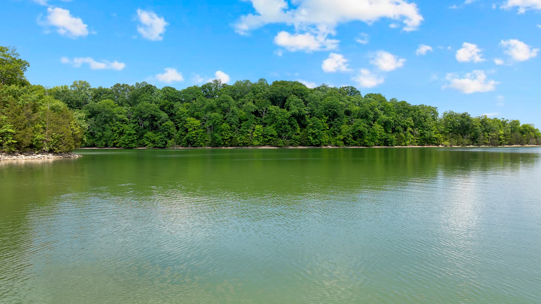 0 Damron Road Estill Springs TN 37330