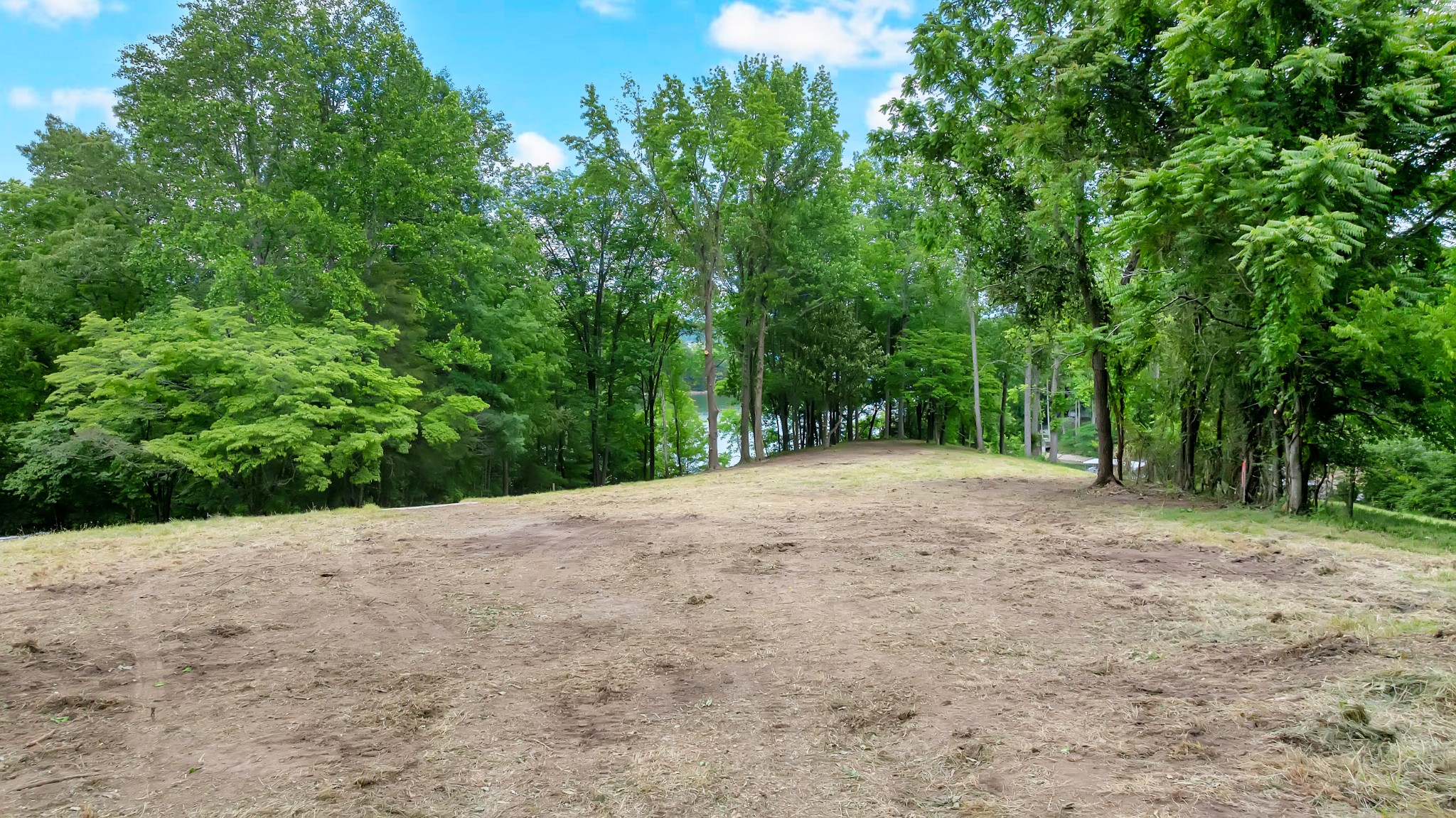0 Damron Road Estill Springs TN 37330
