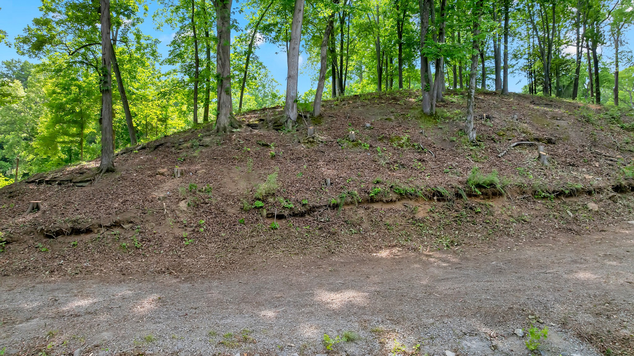 0 Damron Road Estill Springs TN 37330