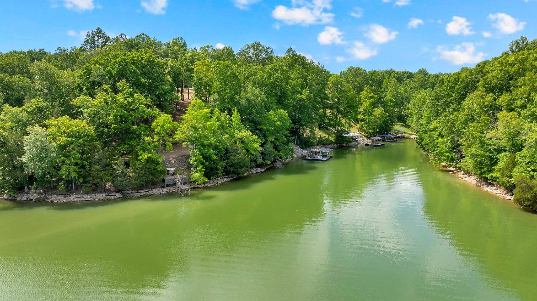 0 Damron Road Estill Springs TN 37330