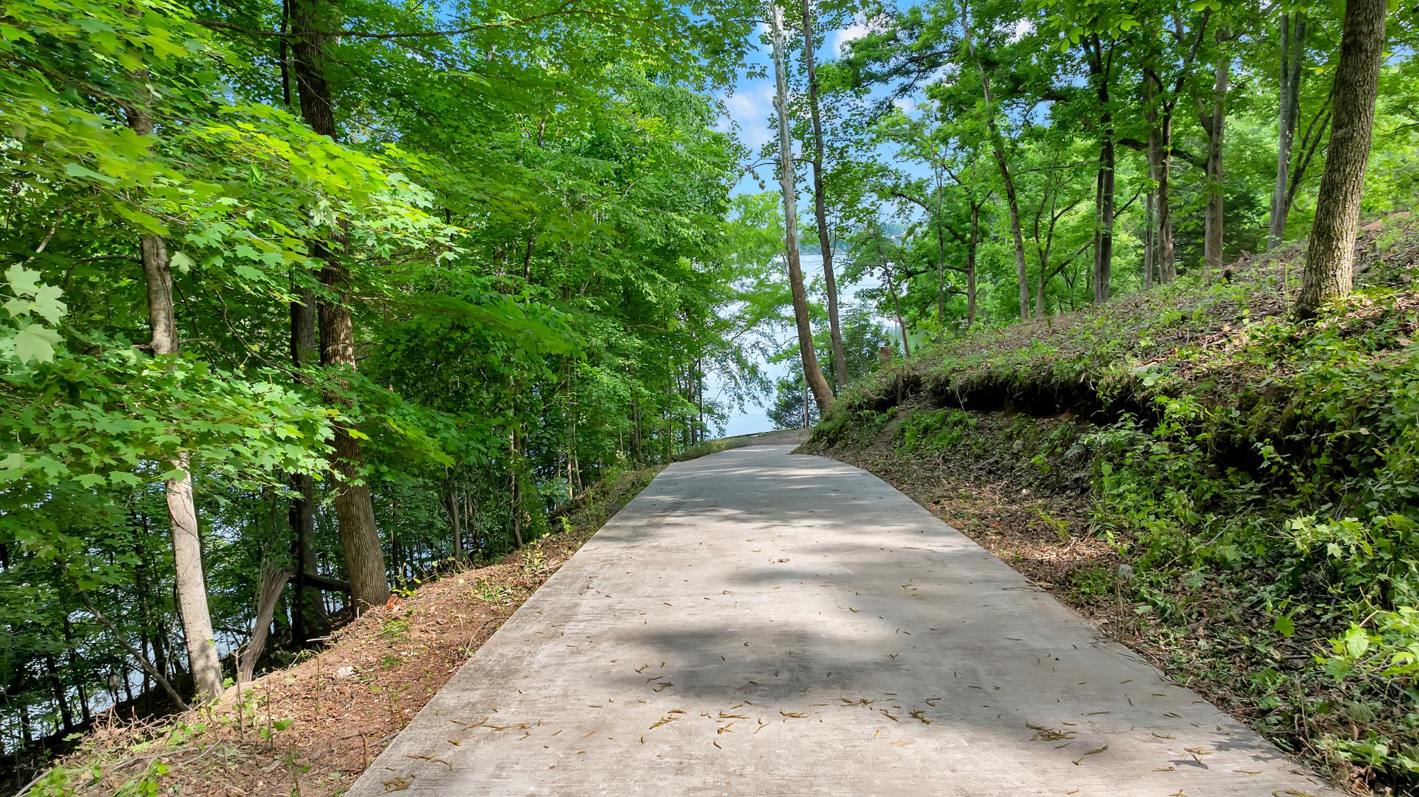0 Damron Road Estill Springs TN 37330