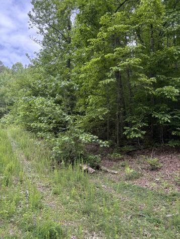 225 Hollow Road Whitwell TN 37397