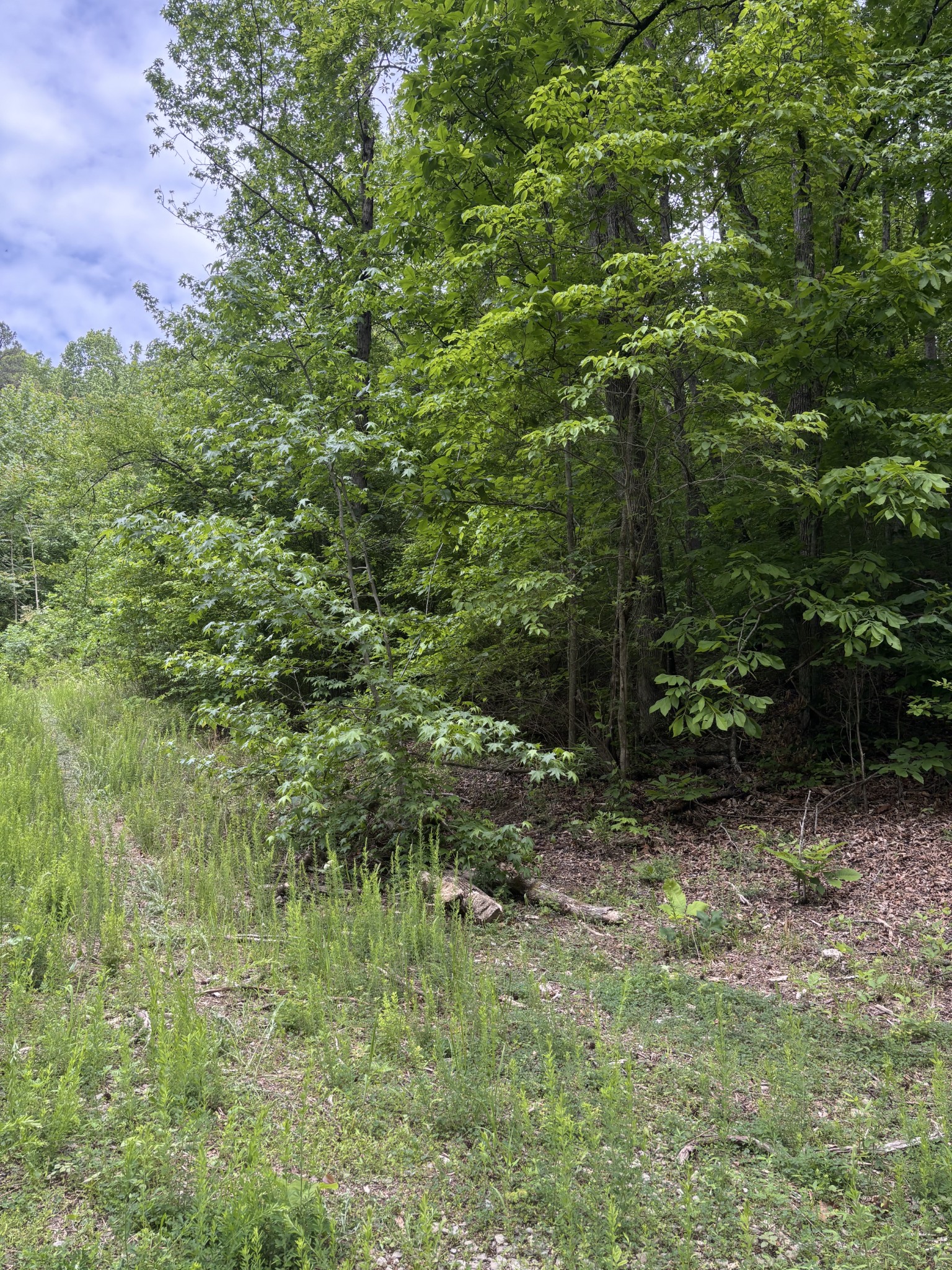 225 Hollow Road Whitwell TN 37397