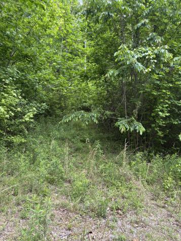 225 Hollow Road Whitwell TN 37397
