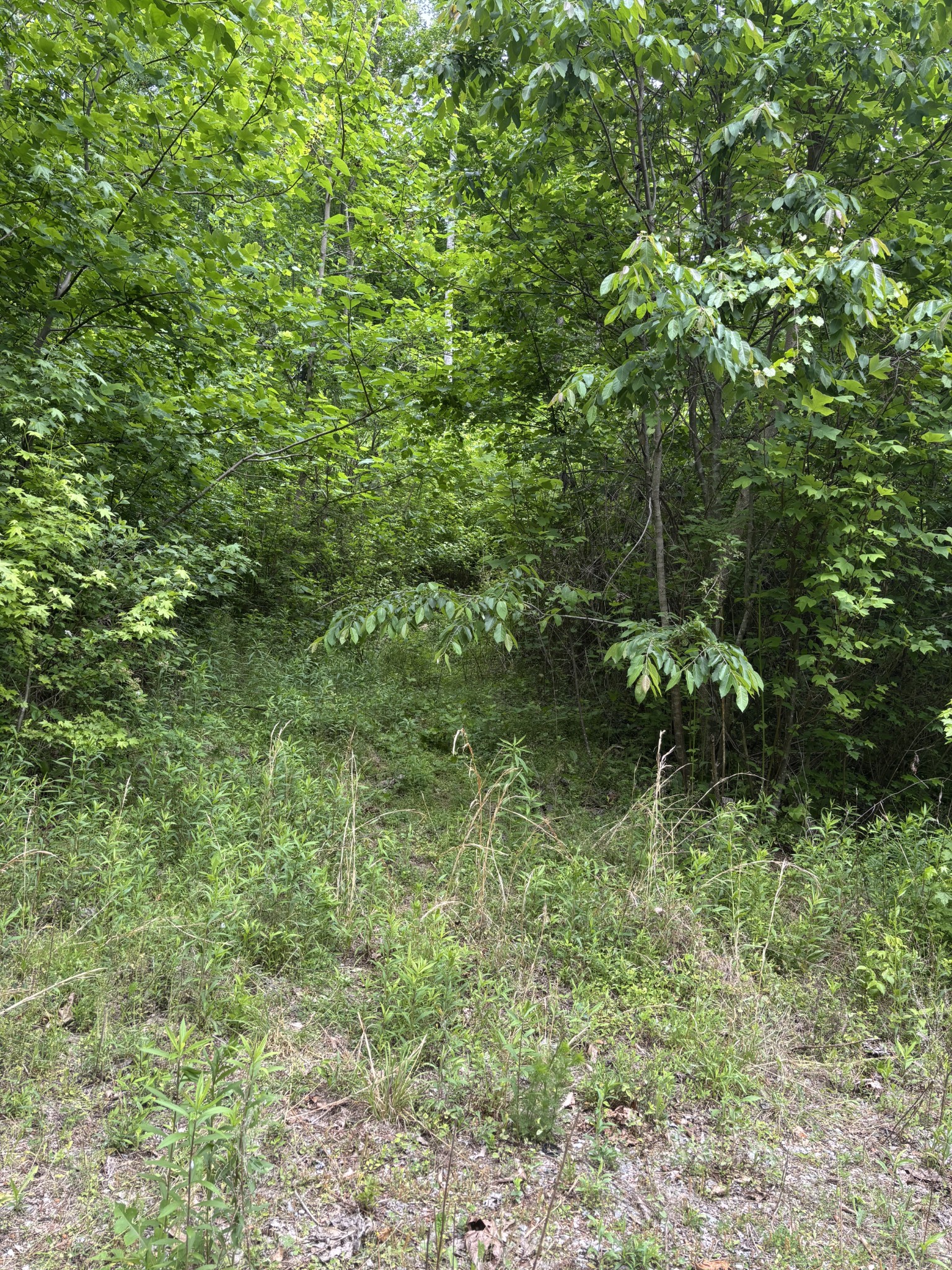 225 Hollow Road Whitwell TN 37397