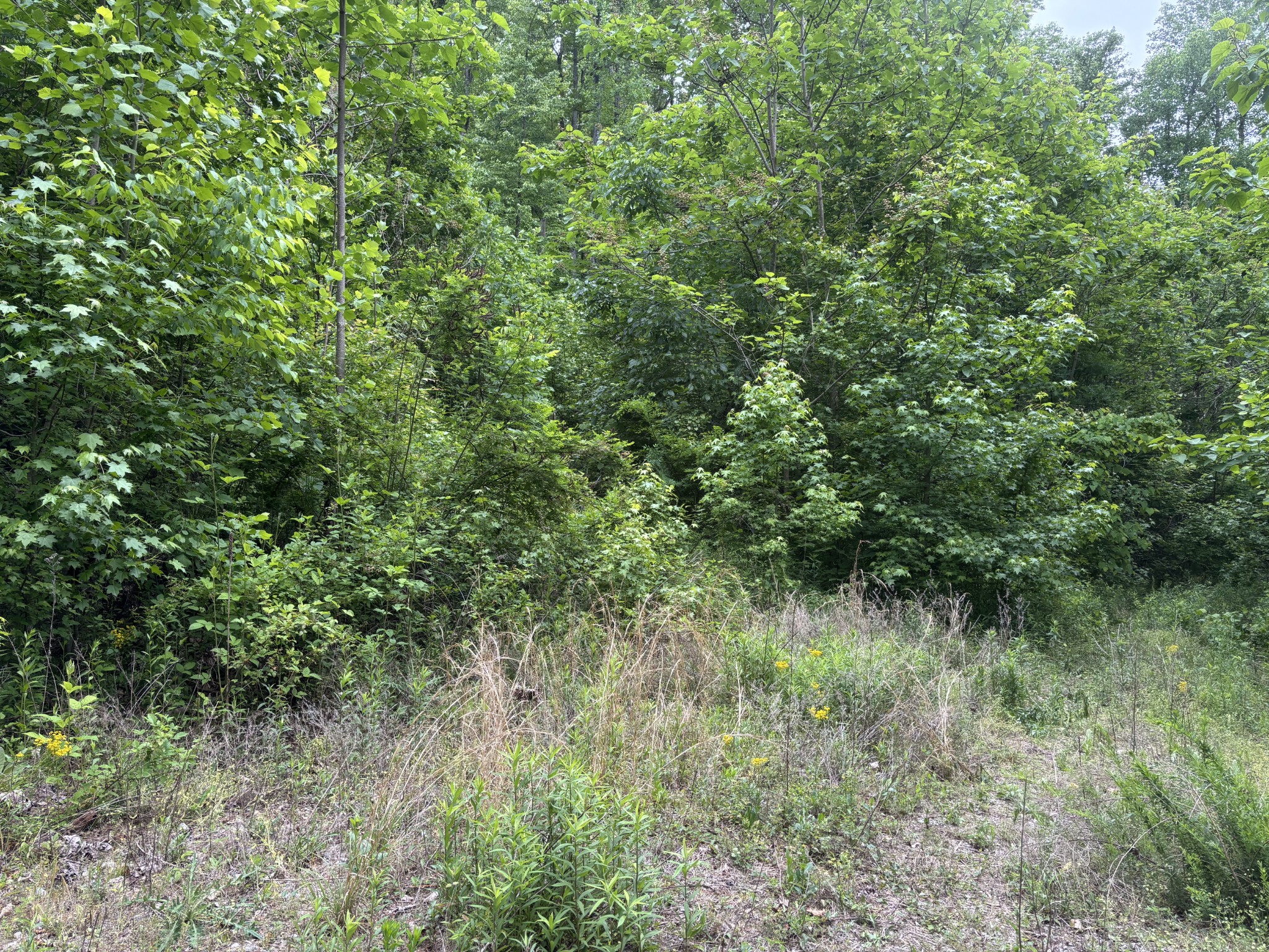 225 Hollow Road Whitwell TN 37397