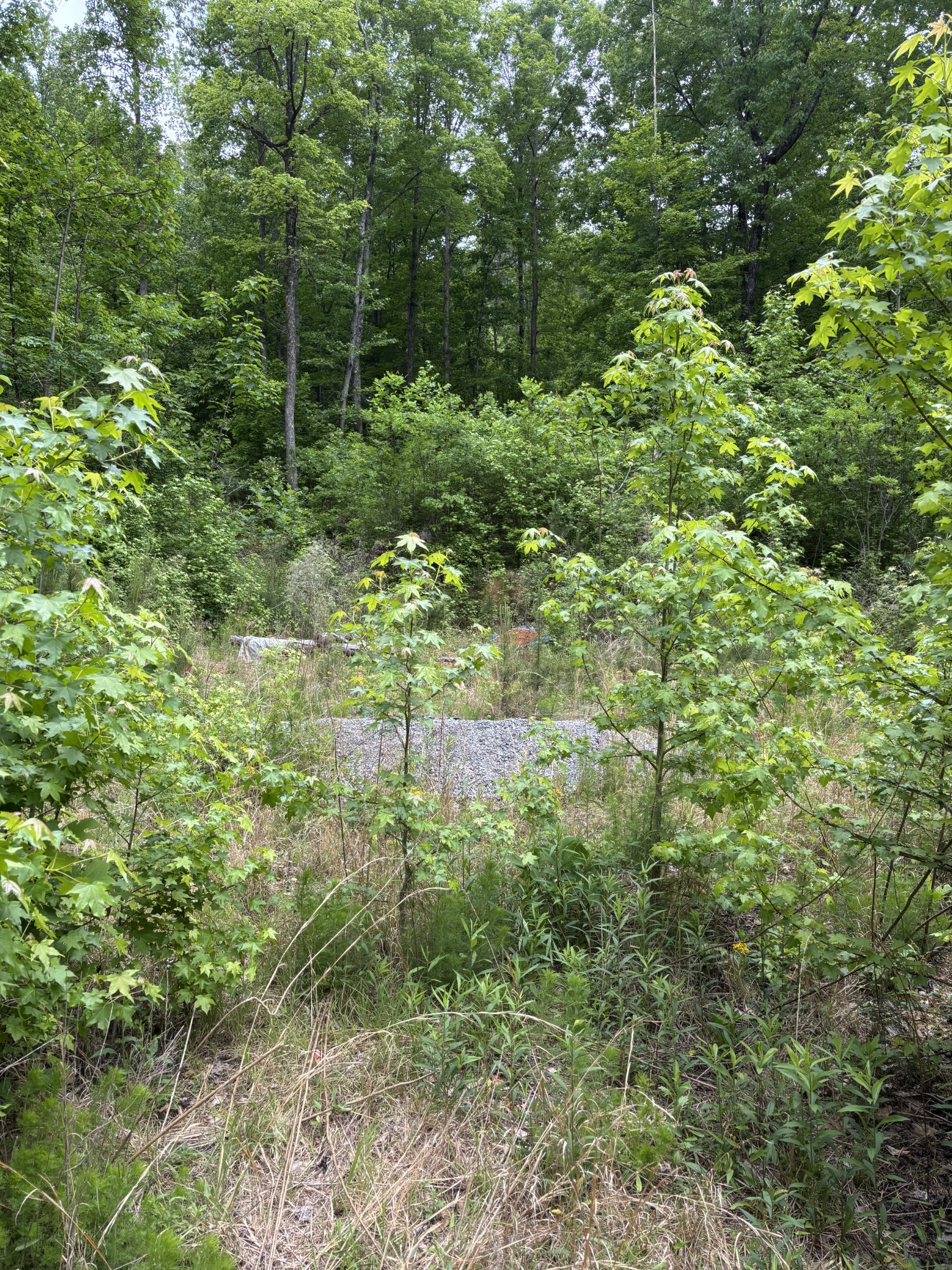 225 Hollow Road Whitwell TN 37397