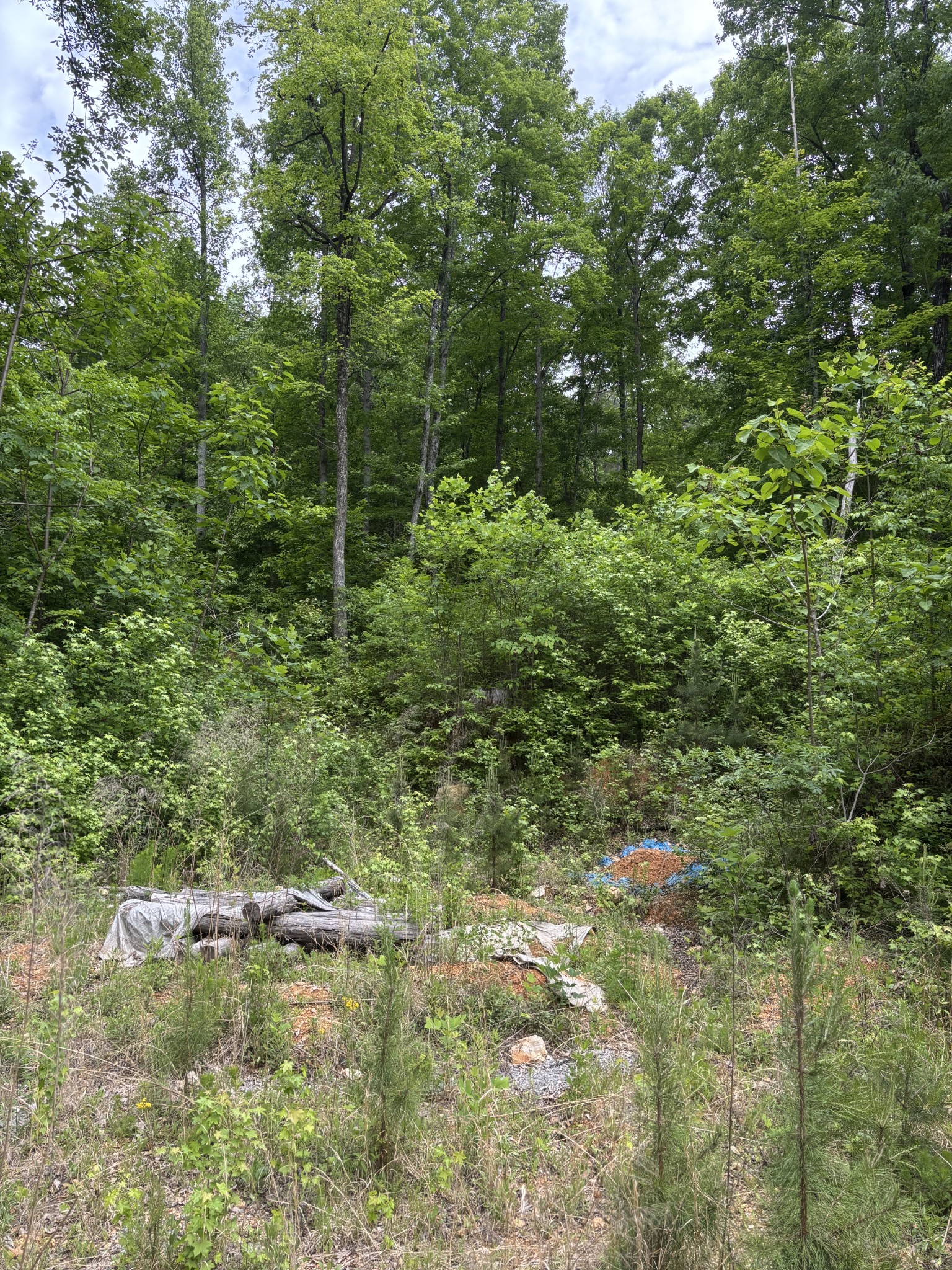 225 Hollow Road Whitwell TN 37397