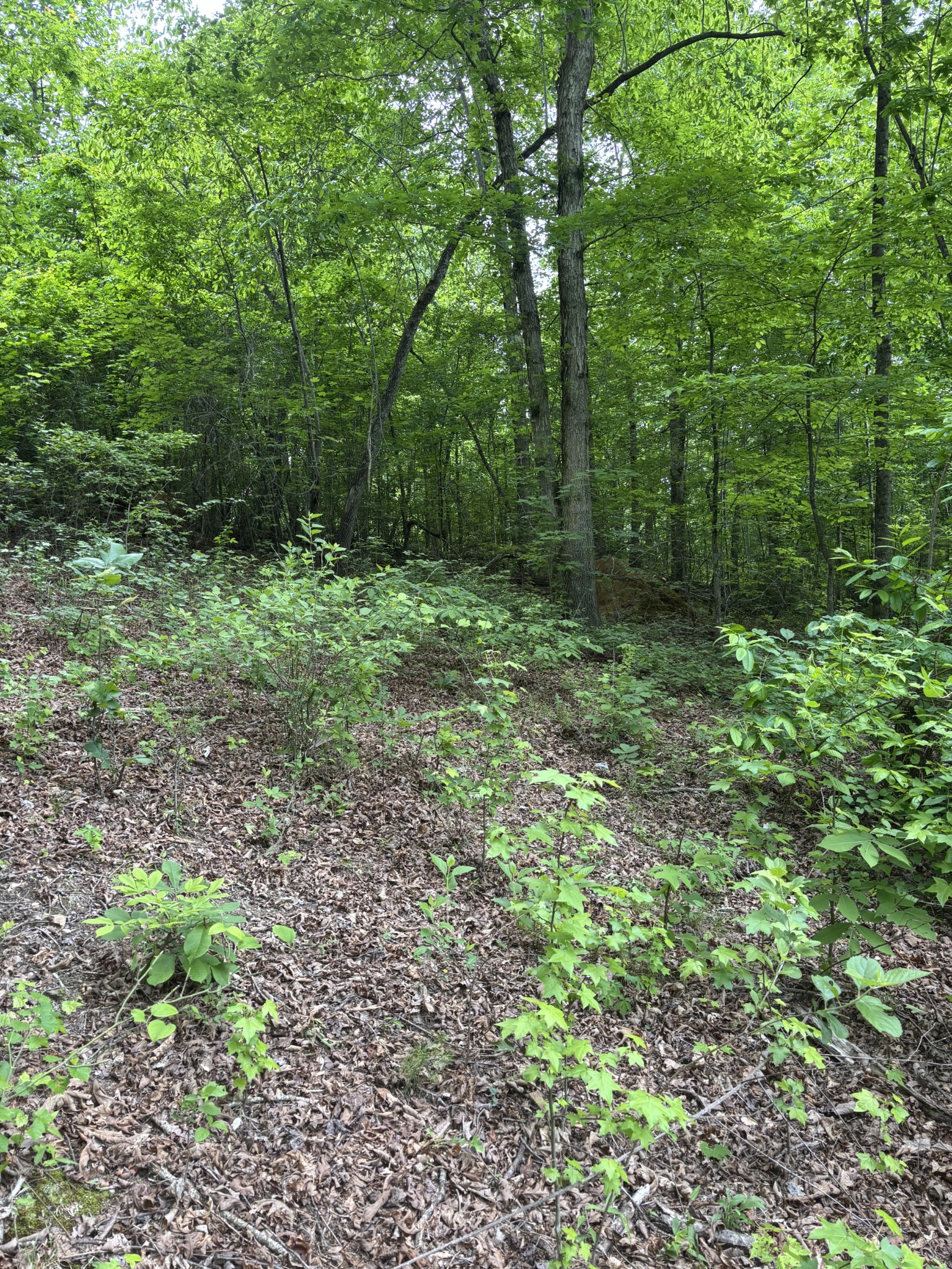 225 Hollow Road Whitwell TN 37397