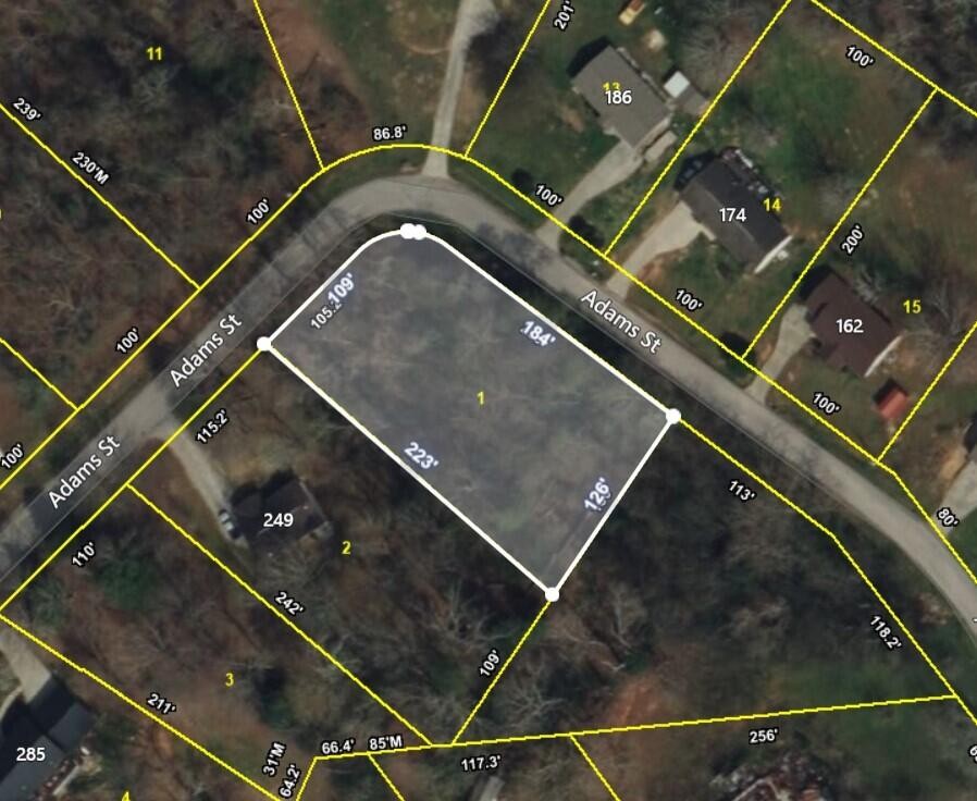0 Adams Street Spring City TN 37381