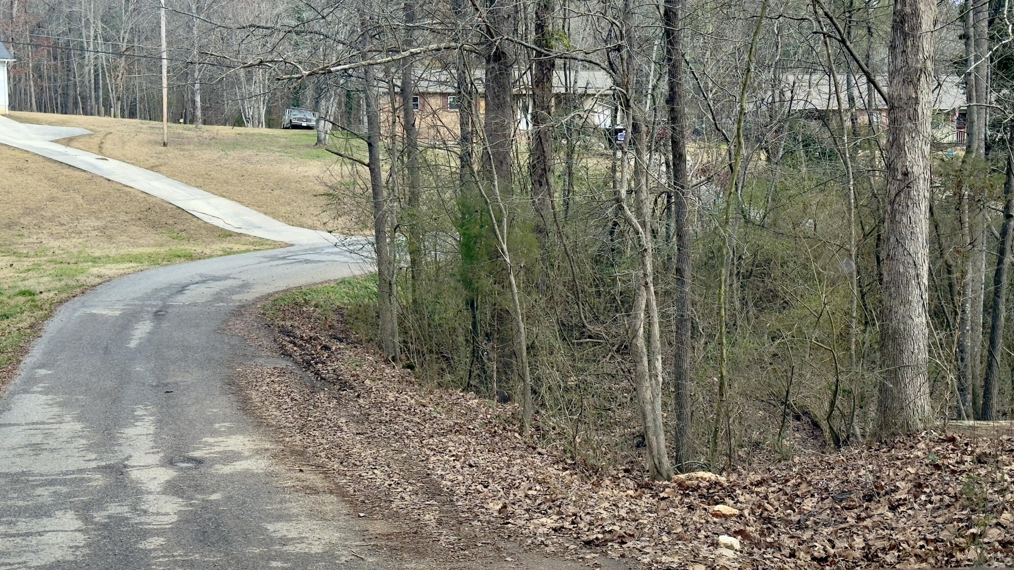 0 Adams Street Spring City TN 37381