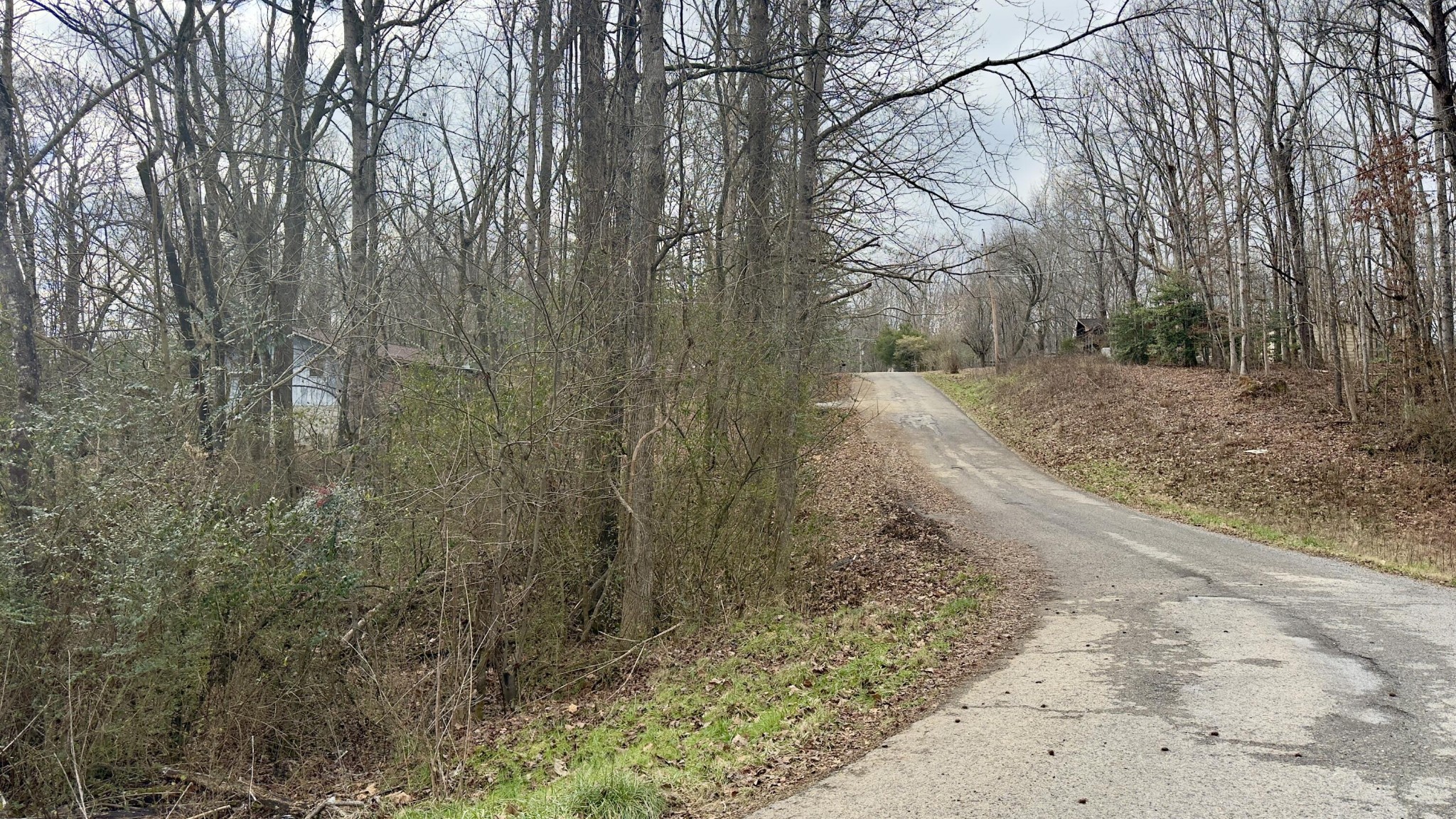0 Adams Street Spring City TN 37381