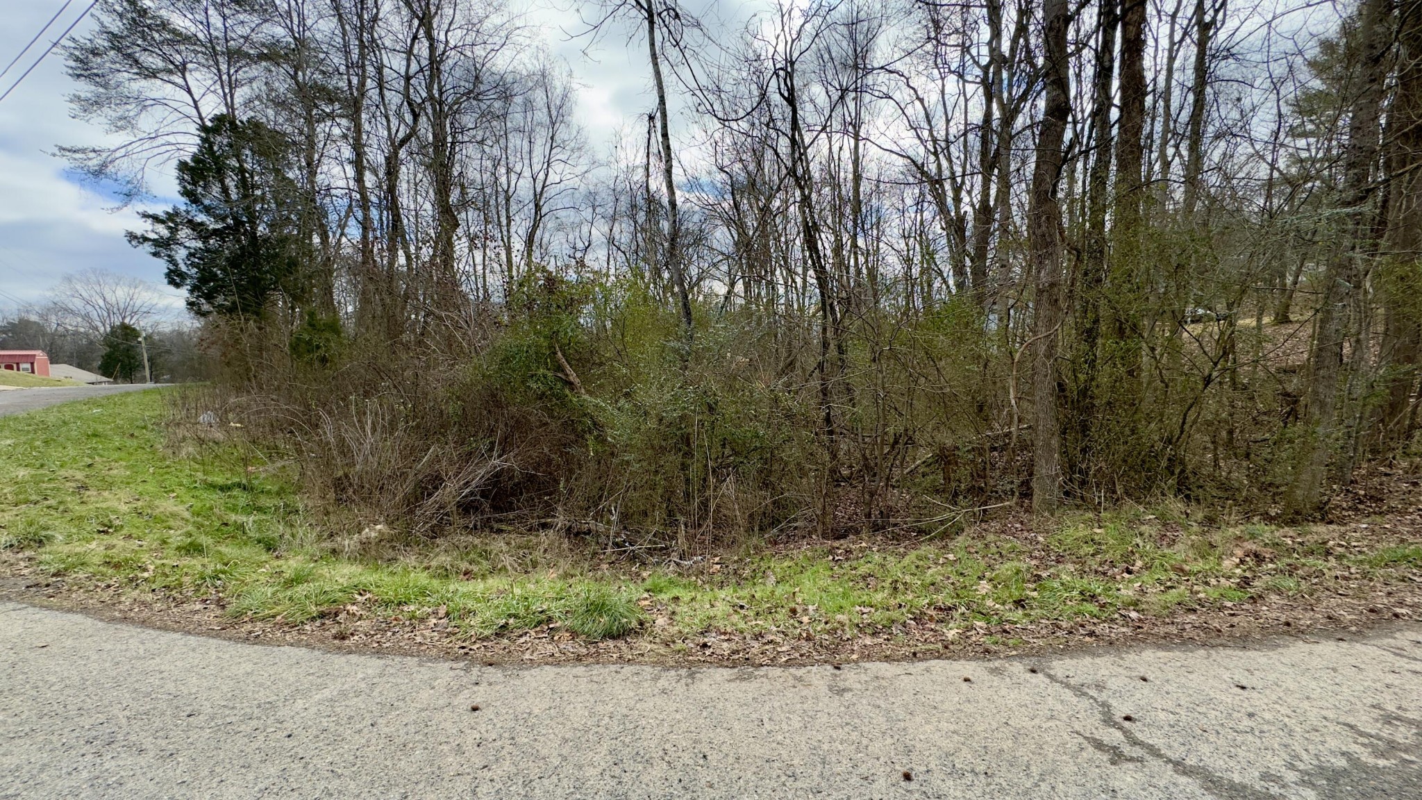 0 Adams Street Spring City TN 37381
