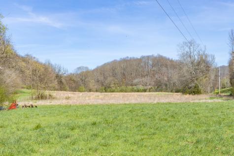2739 Pickens Road Lynnville TN 38472