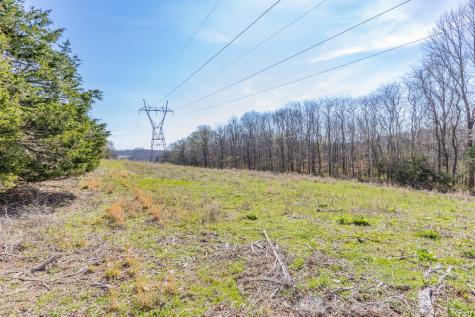 2739 Pickens Road Lynnville TN 38472