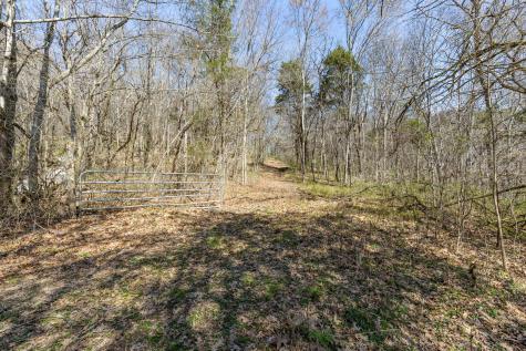 2739 Pickens Road Lynnville TN 38472